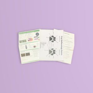 Essential oils dog care basic oils reflexology point Doterra sheets 77 total